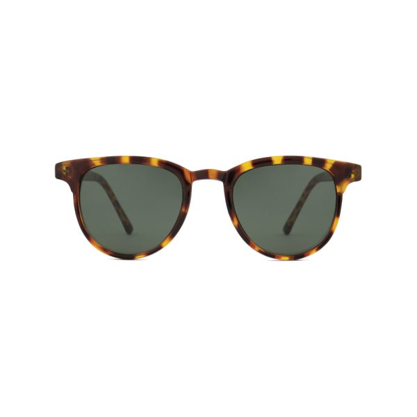 Francis - zonnebril - tortoise - Afbeelding 3