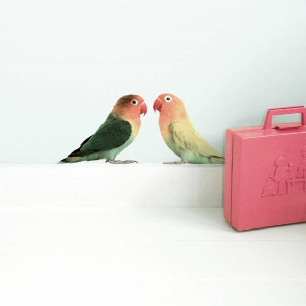 Lovebirds - muursticker - Afbeelding 2