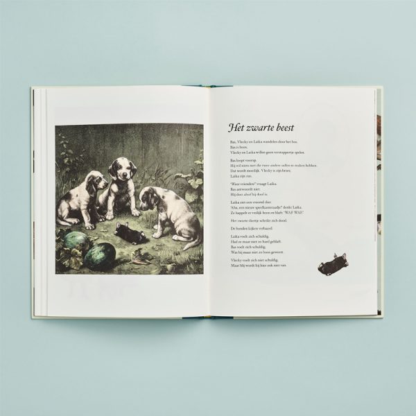 Snotapen - boek - Afbeelding 5