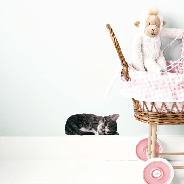 Kitten sam - muursticker - Afbeelding 3