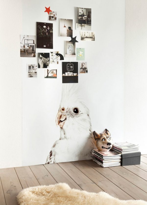 Magneet behang - kaketoe - Afbeelding 3