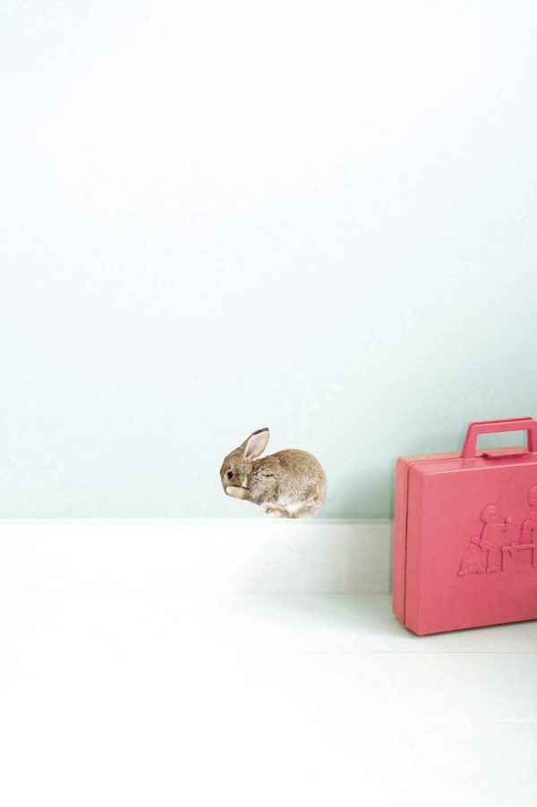 Baby rabbit - Afbeelding 2