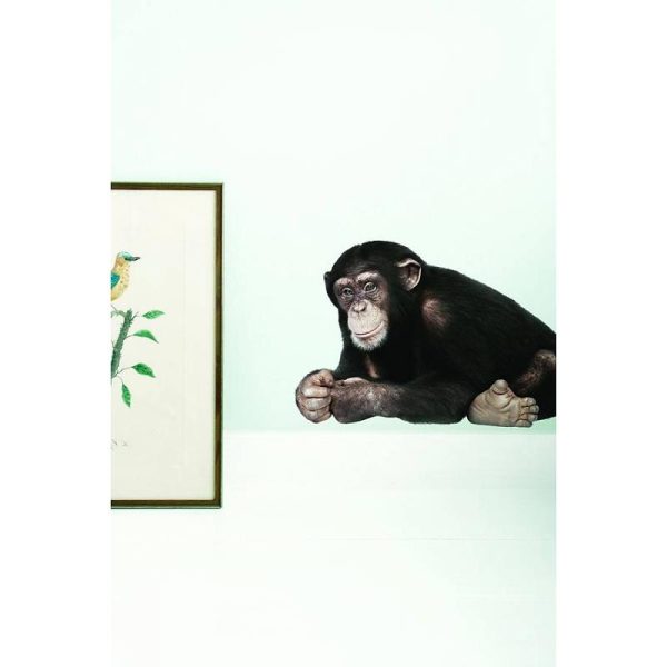 Safari friends chimpanzee - Afbeelding 2