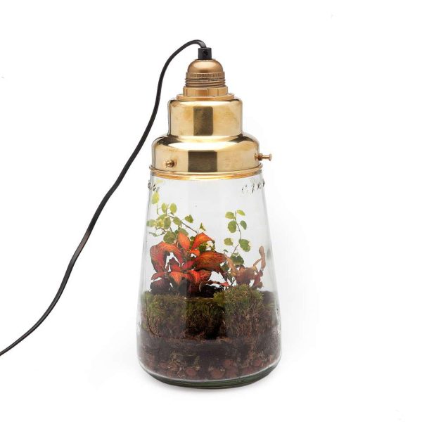 Pickles - plant/lamp - staand