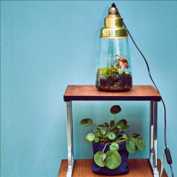 Pickles - plant/lamp - staand - Afbeelding 2