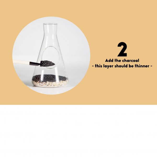 Terrarium set - chemistry - Afbeelding 4
