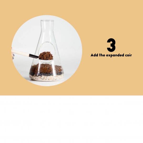 Terrarium set - chemistry - Afbeelding 5