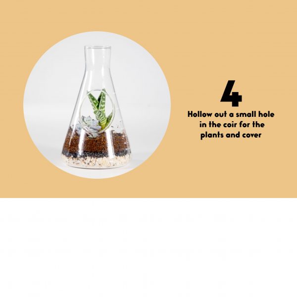 Terrarium set - chemistry - Afbeelding 6