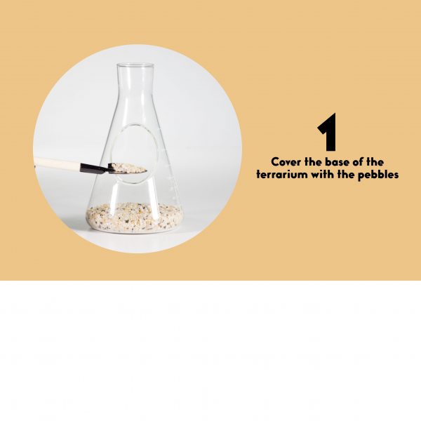 Terrarium set - chemistry - Afbeelding 3