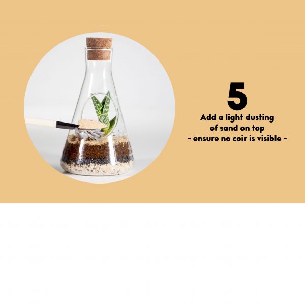 Terrarium set - chemistry - Afbeelding 7