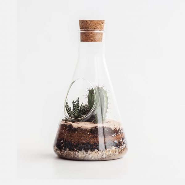Terrarium set - chemistry