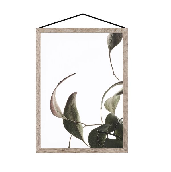 Floating leaves 08 - illustratie - A4
