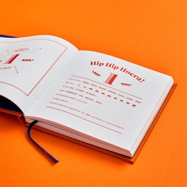 Hip hip hoeraa - logboek - Afbeelding 10