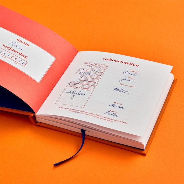 Hip hip hoeraa - logboek - Afbeelding 8