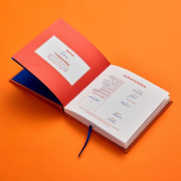 Hip hip hoeraa - logboek - Afbeelding 7