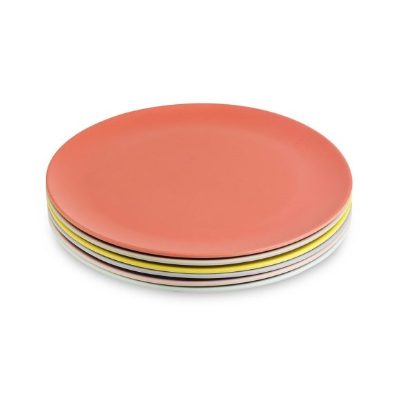 Bord large - pastel (6 stuks)