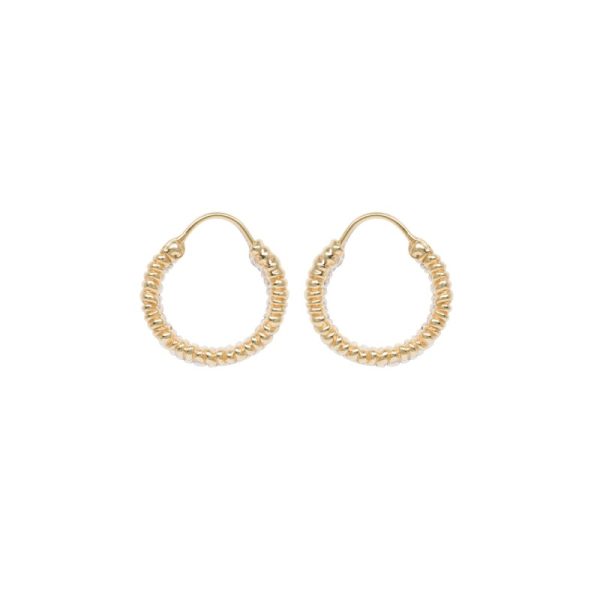 Bird leg ring - oorbellen - goud