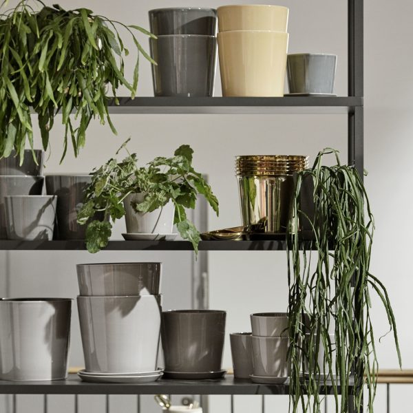 Botanical family - schotel - lichtgrijs - Afbeelding 3