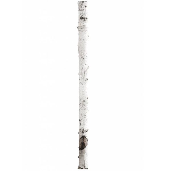 Home tree 3 - muursticker - Afbeelding 2