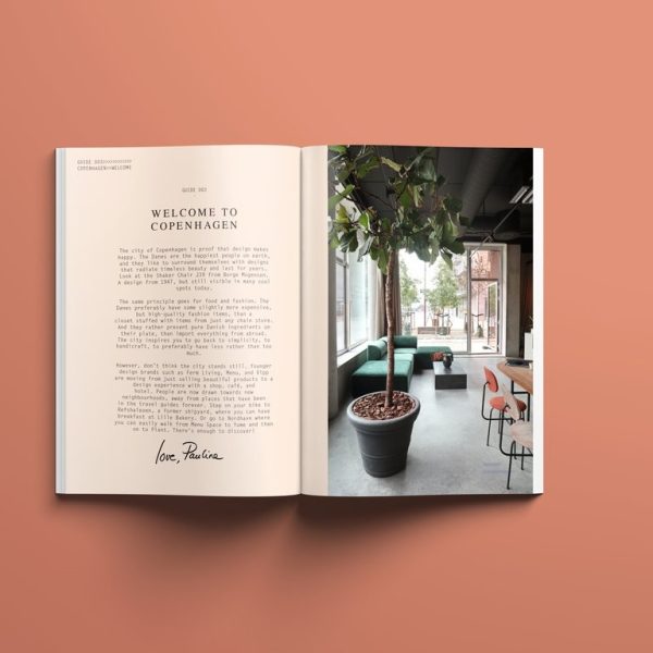 The Copenhagen guide - Afbeelding 2
