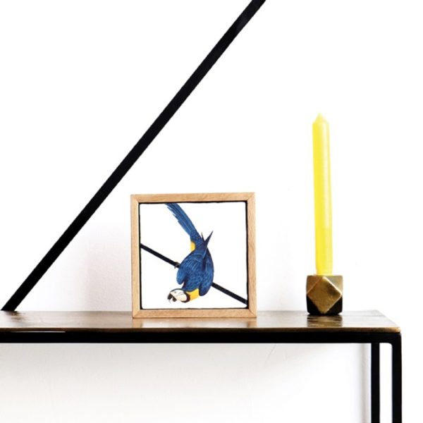 Blauwe papegaai - decoratie - Afbeelding 2