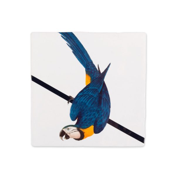Blauwe papegaai - decoratie