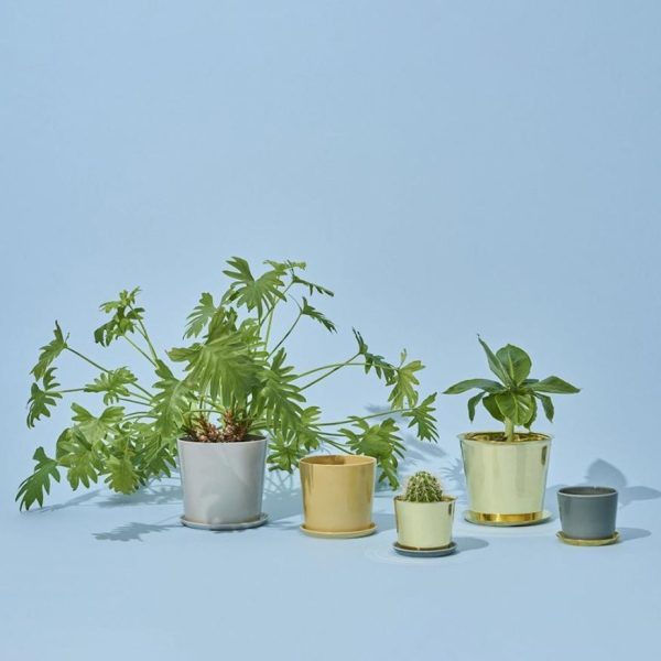 Botanical family - schotel - lichtgrijs - Afbeelding 5