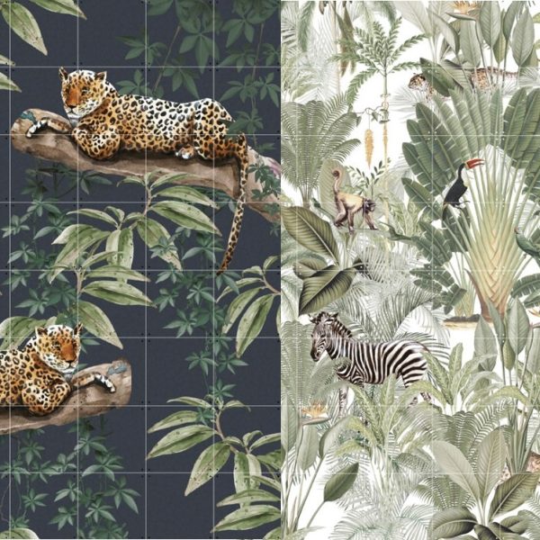 Chilling in the jungle + into the wild