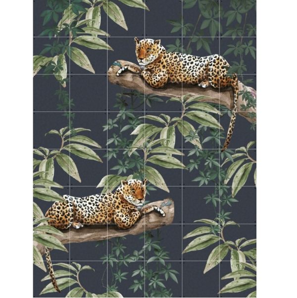 Chilling in the jungle + into the wild - Afbeelding 2