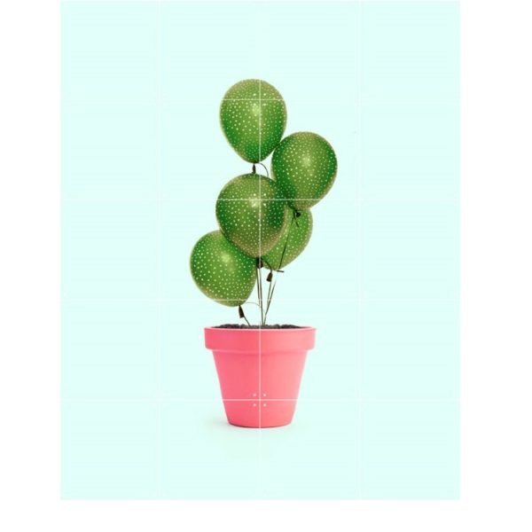 Cactus balloons + roses - Afbeelding 2