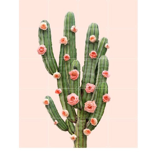 Cactus balloons + roses - Afbeelding 4