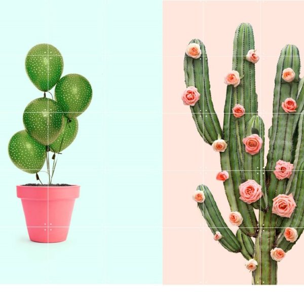 Cactus balloons + roses
