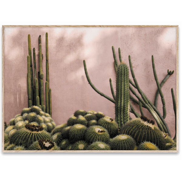 Cactus - poster - multi