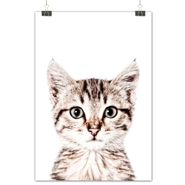 Magneetposter - kat