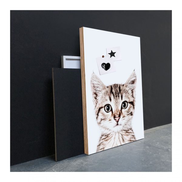 Magneetposter - kat - Afbeelding 3