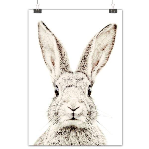 Magneetposter - konijn