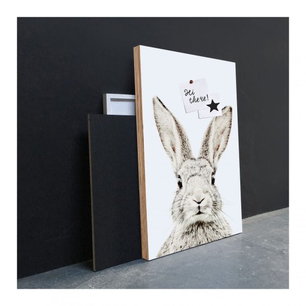 Magneetposter - konijn - Afbeelding 2