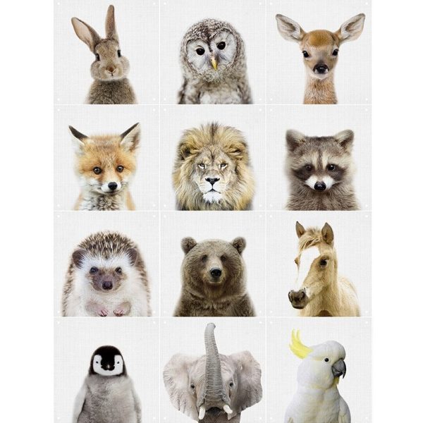 Animal family - 60 x 80 cm