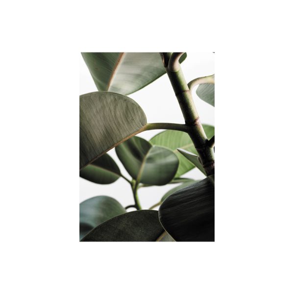 Green home 03 - poster - transparant - Afbeelding 2