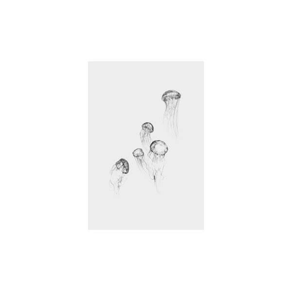 Jellyfish - poster - multi - Afbeelding 2