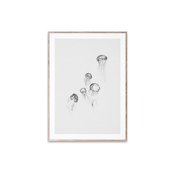 Jellyfish - poster - multi