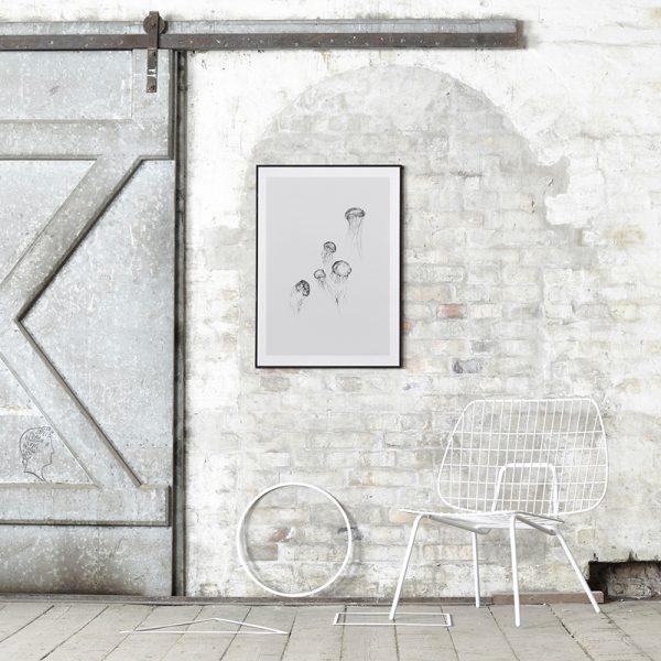 Jellyfish - poster - multi - Afbeelding 3