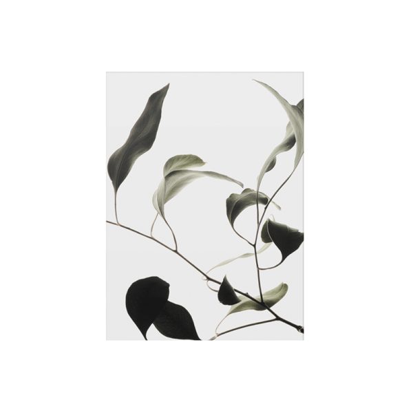 Floating leaves 09 - poster - transparant - Afbeelding 2