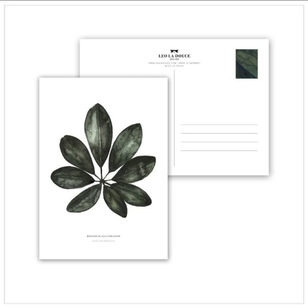 Schefflera arboricola - wenskaart - Afbeelding 2