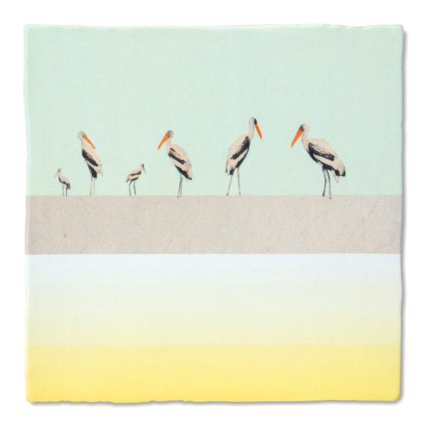 Bird parade - medium