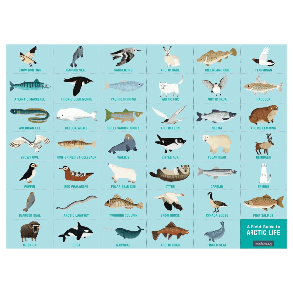 Arctic life search & find puzzle - puzzel - Afbeelding 3