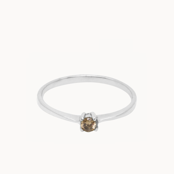 Desert - ring - zilver