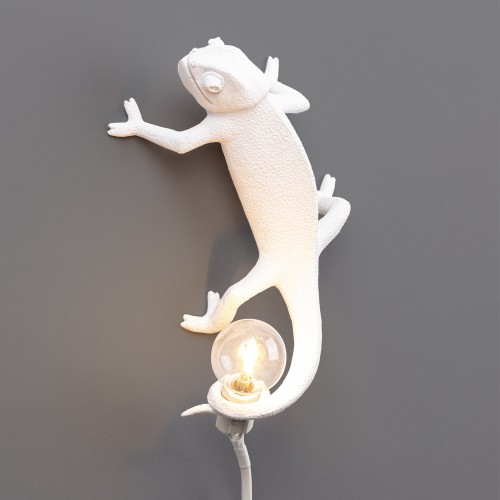 chameleon lamp