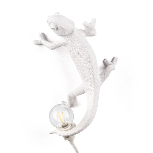 chameleon lamp