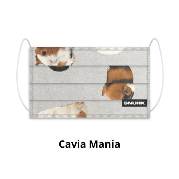 cavia mania